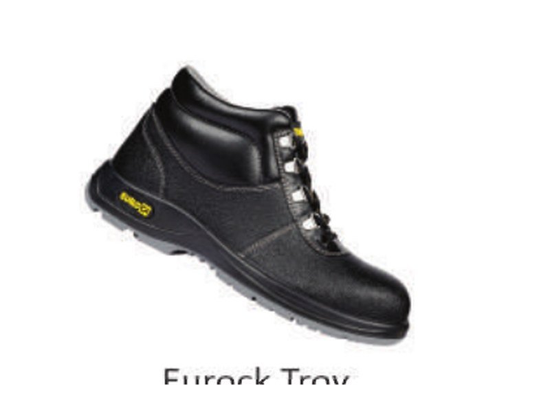 Eurock Troy