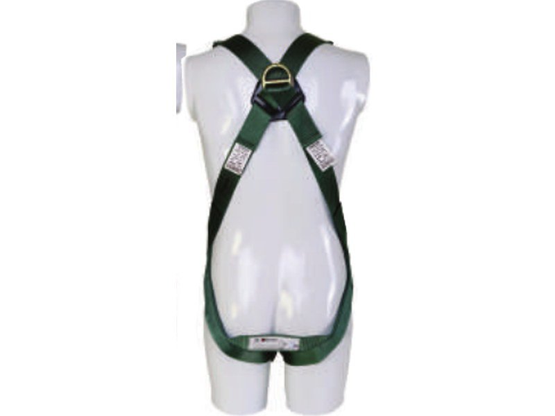 L Class Harness view 2