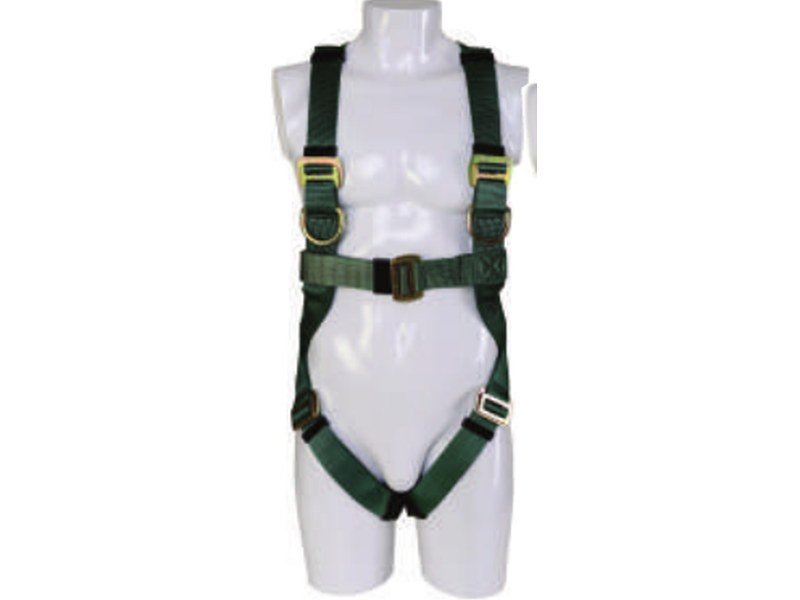 L Class Harness