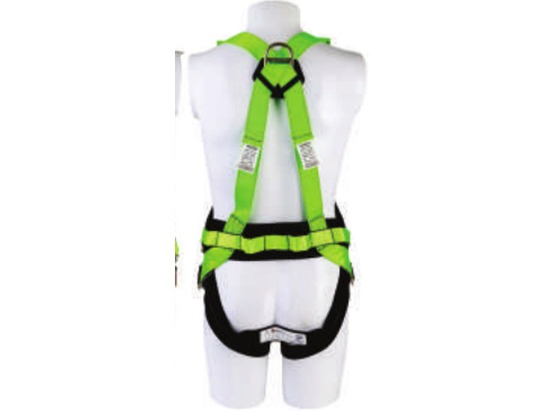 L+P Class Harness view 2