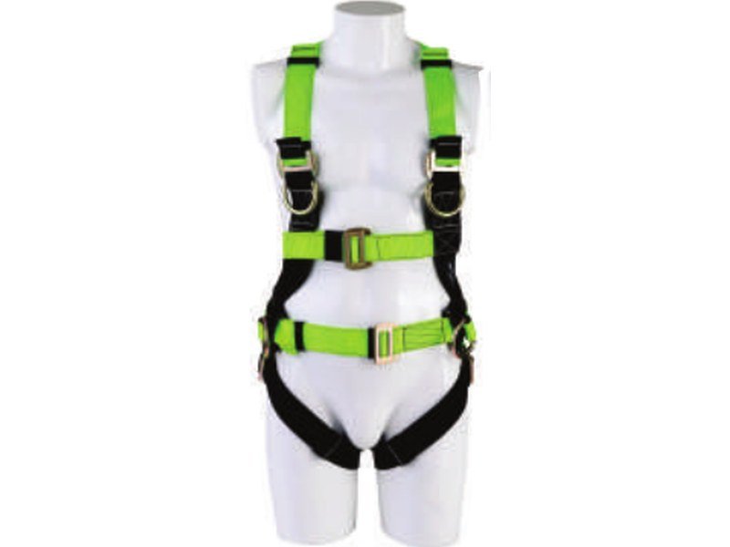L+P Class Harness